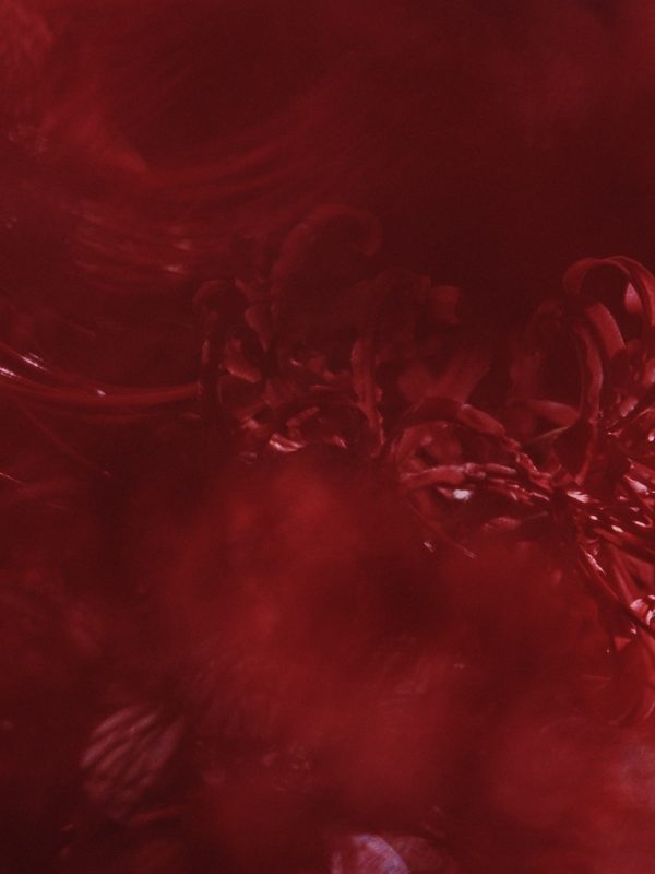 写真展「はじまりと終わりに見る色を、私は知らない」